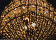 6526_carousel