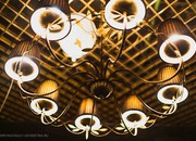 6959_carousel