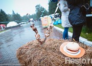 3373_carousel