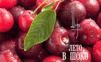 Шоко-летнее меню в культовой кофейне города