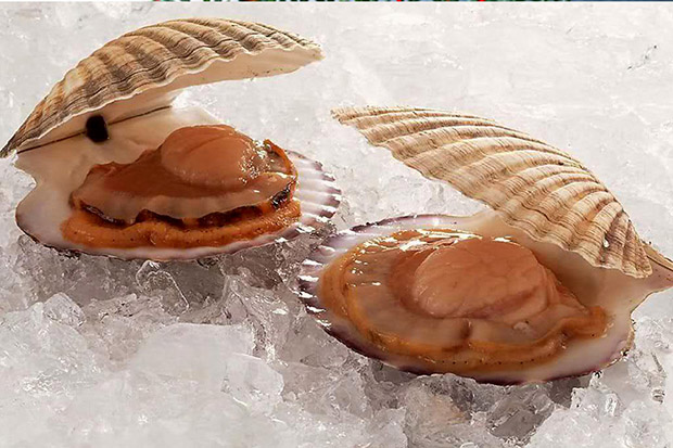 Дары Сахалина на российском рынке. Рестораны Екатеринбурга