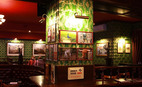 Пивной ресторан Doctor Scotch Pub