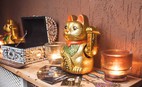 Бар Shisha Bar