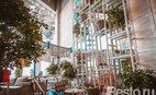 Ресторан Счастье